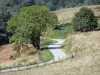 Massief van de Plantaurel - Kleine weg bekleed met gras en bomen in het Regionale Natuurpark van de Ariège Pyreneeën