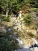 Massief van de Tanargue - Regionale Natuurpark van de Monts d'Ardèche - Ardèche Berg: kleine rivier omzoomd met bomen