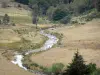 Massif de l'Aigoual - Ruisseau bordé de pâturages (herbages) ; dans le Parc National des Cévennes (massif des Cévennes)