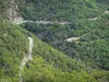 Massif de l'Aigoual - Route de montagne bordée d'arbres ; dans le Parc National des Cévennes (massif des Cévennes)