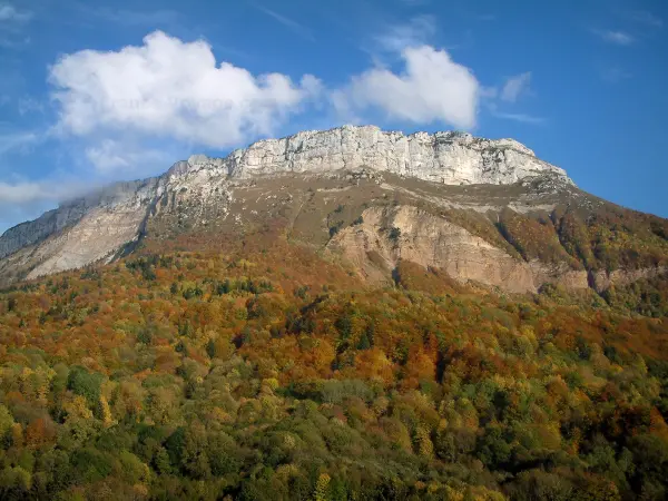 Massif des Bauges - Parc Naturel Régional du Massif des Bauges : forêt en automne, falaises calcaires et nuages dans le ciel bleu