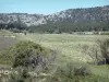 Massif de la Clape - Parc Naturel Régional de la Narbonnaise en Méditerranée : plateau et collines de la Clape