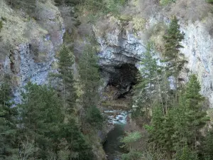 Massif du Dévoluy - Défilé des Étroits : rivière bordée d'arbres et de parois rocheuses
