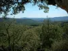 Massif des Maures mountains - Trees in foreground with a view of hills covered with forests