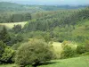 Massif des Monédières - Parc Naturel Régional de Millevaches en Limousin : forêt et pâturages