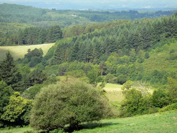 Le massif des Monédières - Guide tourisme, vacances & week-end en Corrèze