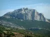 Massif de la Sainte-Baume - Végétation (garrigue) et parois rocheuses (falaises)