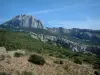 Massif de la Sainte-Baume - Végétation (garrigue) et parois rocheuses (falaises)