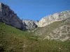 Massif de la Sainte-Baume - Végétation (garrigue), arbres et parois rocheuses (falaises)