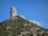 Massif de la Sainte-Baume - Végétation (garrigue) et parois rocheuses