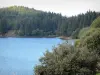 Massif du Sancy mountains - Monts Dore: Guery lake surrounded by trees; in the Auvergne Volcanic Regional Nature Park