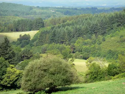 MassifdesMonédières