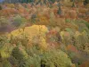 Massiv Bauges - Regionaler Naturpark des Massivs Bauges: Bäume mit Farben des Herbstes