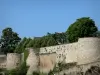 Mayenne - Gezicht op de wallen