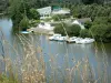 Mayenne Valley - 享有马耶讷河和Château-Gontier游泳池的景致;在前景高草