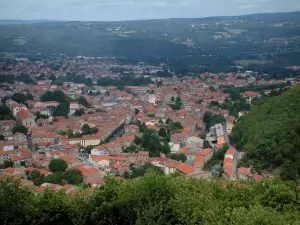 Mazamet - Gli alberi in primo piano con vista delle case e degli edifici della città