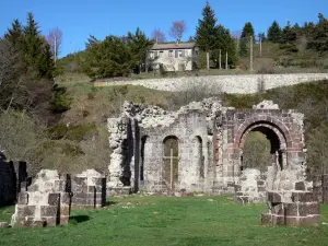 Mazan-l'Abbaye - Ruins of the Mazan Cistercian abbey: remains of the abbey church