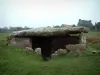 Megalieten - Mound omringd door gazons, huizen op de achtergrond