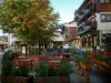 Megève - Petits sapins en pots, fleurs, terrasse de café, arbres et maisons du village (station de sports d'hiver et d'été)