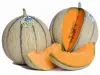 Meloen uit Hoog-Poitou - Gids voor gastronomie, vrijetijdsbesteding & weekend in de Vienne