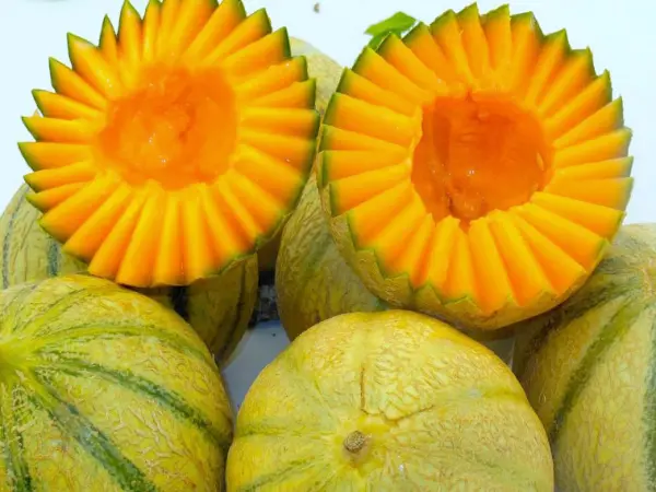 Cuisine : connaissez-vous le melon jaune ?