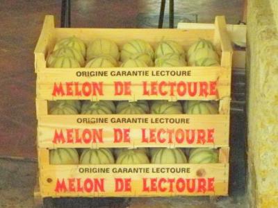 melon-lectoure-31524_w400.jpg
