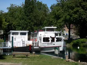 Melun - Bords de Seine : bateau amarré et arbres au bord du fleuve Seine