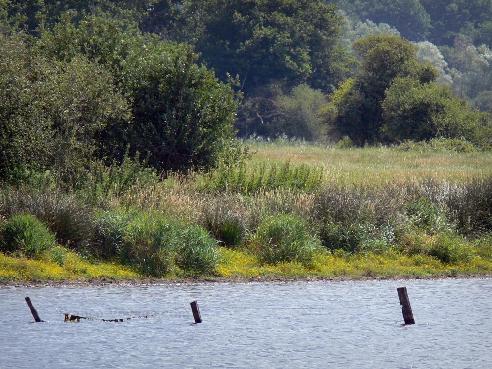 Photos Mer Rouge lake 3 quality highdefinition images