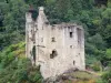 Merle Towers - Castelos de Fulcon e Hugues de Merle rodeado de árvores
