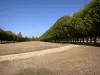 Meudon - Parc de l'observatoire