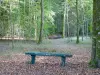 Guide of the Meuse - Argonne forest - Bench among the trees