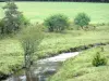 Millevaches plateau - Regional Natural Park of Millevaches in Limousin: stream lined pastures