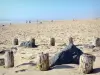 Mimizan-Plage - Pieux sur la plage de sable
