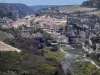 Minerve - Village (maisons, église) posé sur un éperon rocheux, rivière (la Cesse) en contrebas, parois rocheuses, champs de vigne, arbustes, dans le Parc Naturel Régional du Haut-Languedoc