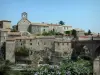 Minerve - Église et maisons du village, pont, arbuste en fleurs, dans le Parc Naturel Régional du Haut-Languedoc