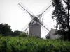 Moinho de Sannois - Moinho de vento giratório localizado no topo do Mont Trouillet