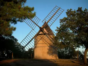 Molino de Paillas - Molino restaurado y los árboles