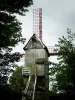 Molinos de Flandes - Casteelmeulen, pivote de molino de viento de madera, Cassel