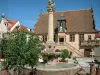 Molsheim - Guia de Turismo, férias & final de semana no Baixo Reno