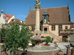 Molsheim - Platz mit einem Brunnen, Pflanzen und Renaissancegebäude Metzig