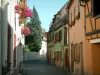 Molsheim - Ruelle pavée bordée de maisons aux façades colorées et aux fenêtres ornées de fleurs