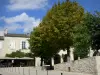 Monflanquin - Medieval bastide town:: Place des Arcades square with trees