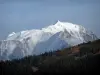 Mont-Blanc - Dennenbos en massale Mont-Blanc