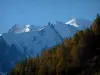 Mont-Blanc - Col des Montets, zicht op bomen met herfstkleuren en de steile Mont-Blanc