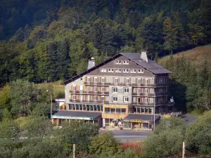 Le Mont-Dore - Stazione sciistica: villetta circondata da alberi del Sancy (Monts Dore), nel Parco Naturale Regionale dei Vulcani d'Alvernia