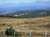 Mont Lozère - Parc National des Cevennes: uitzicht op de hellingen van de berg Lozère, overdekte heide, en het omringende landschap