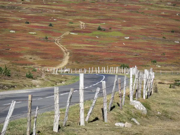 De mont Lozère - Gids voor toerisme, vakantie & weekend in de Lozère