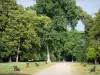 Mont-de-Marsan - Parc Jean-Rameau : allée bordée de bancs et d'arbres