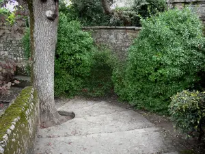 Mont-Saint-Michel - Benedictine abbey: garden