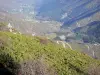 Montagne ardéchoise - Vue sur le paysage verdoyant du massif du Tanargue ; dans le Parc Naturel Régional des Monts d'Ardèche